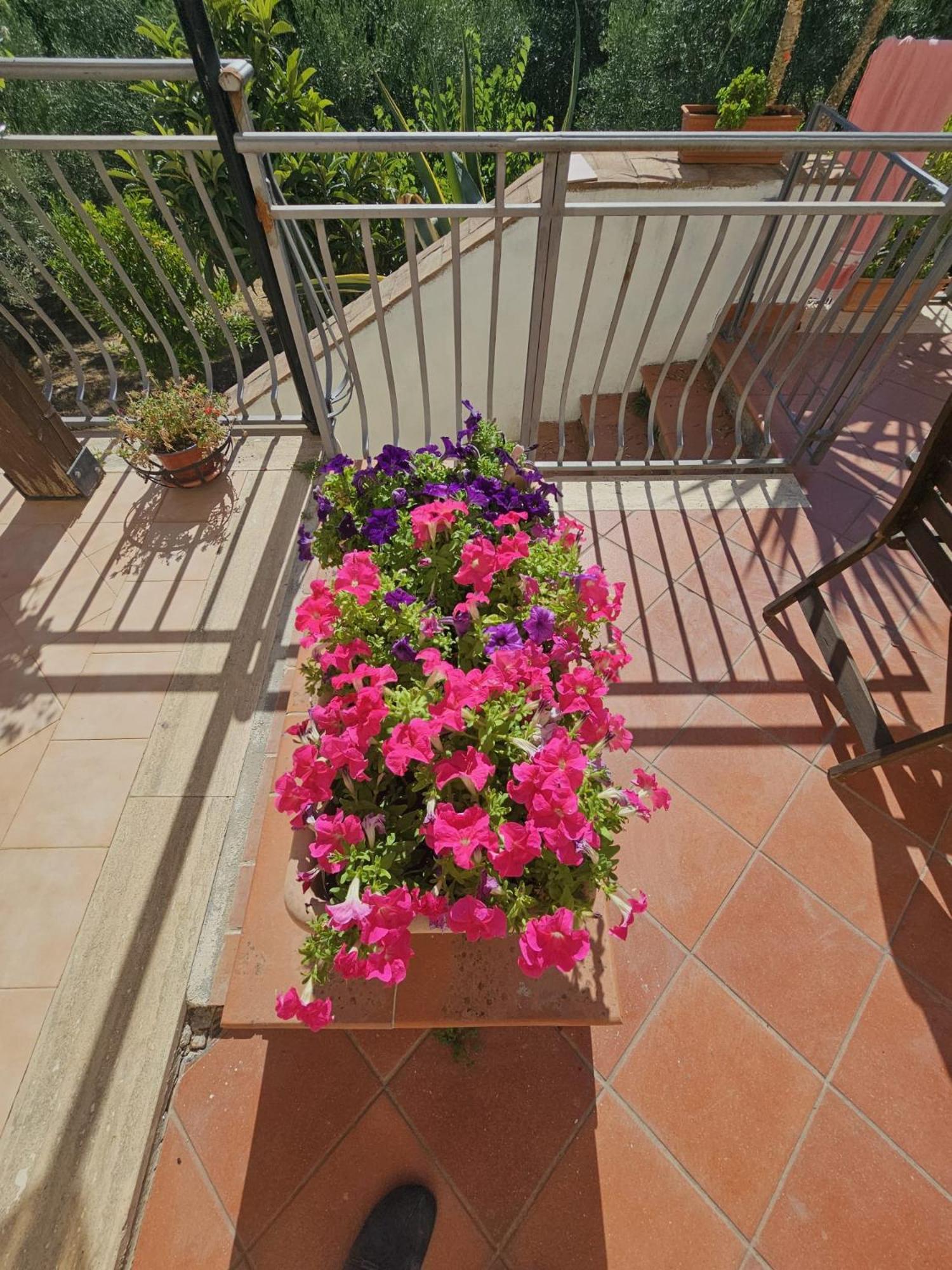 Borgo Vignale Otel Santuario di Gibilmanna Dış mekan fotoğraf